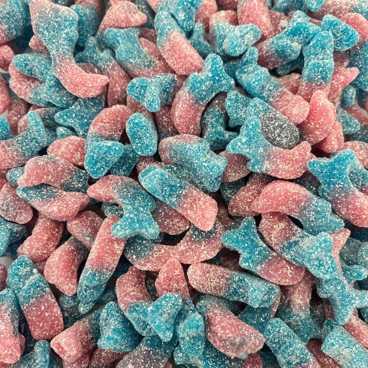Veggie Bubblegum Dolphins